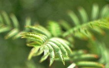 Item with image & video slideshow